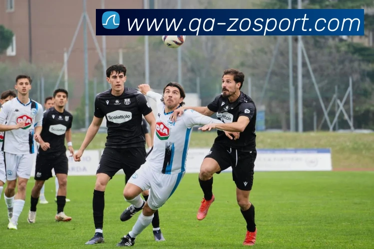 中欧足球官网平台生态图