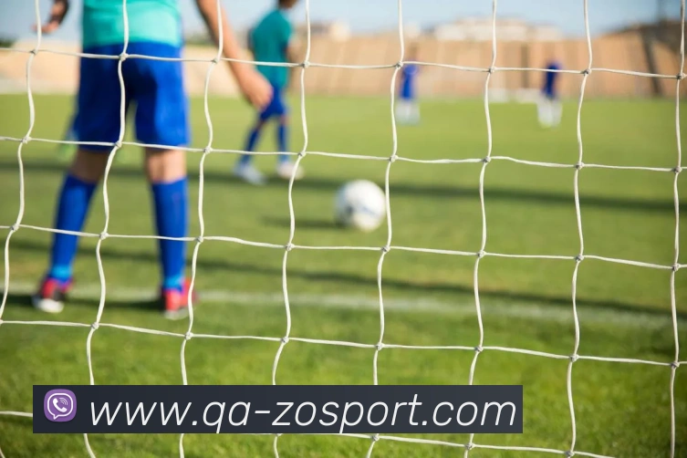 中欧足球官网全站App